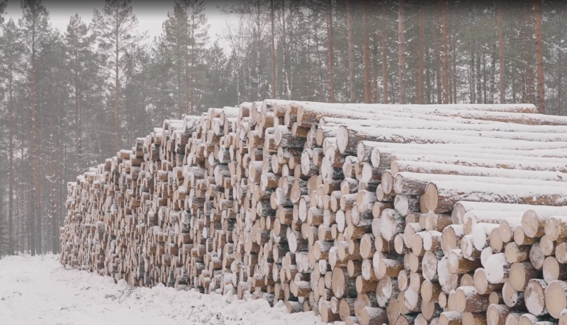Дома из клеёного бруса от производителя: как собственное производство влияет на качество, срок службы и цену